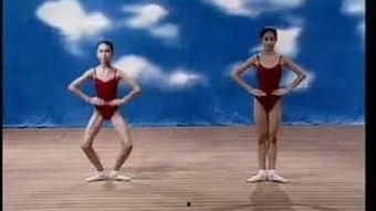 舞蹈踢腿训练视频 成人,成人踢腿训练技巧解析