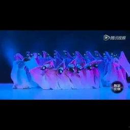 成人省级舞蹈比赛视频播放,成人舞蹈比赛精彩瞬间回顾