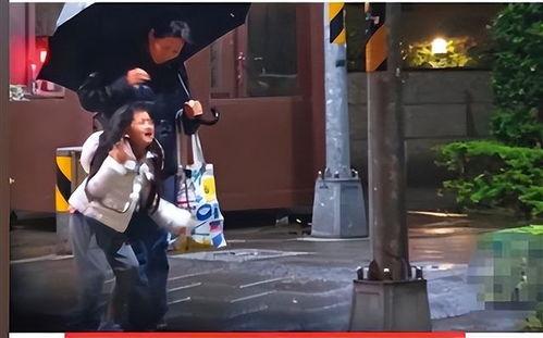 成人逼视频,内容解析与影响探讨