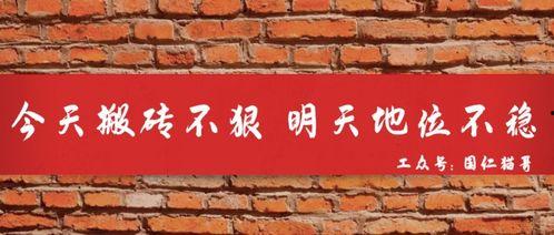 成人踏步律动视频大全教程,跟随视频大全，轻松掌握成人踏步舞技巧