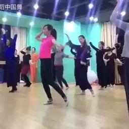 中国舞成人舞蹈视频大全,中国舞成人舞蹈视频大全精选集锦