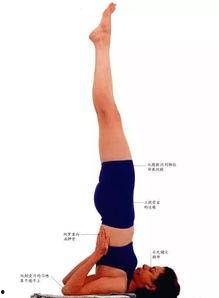 成人胸倒立技巧视频,视频教程详解