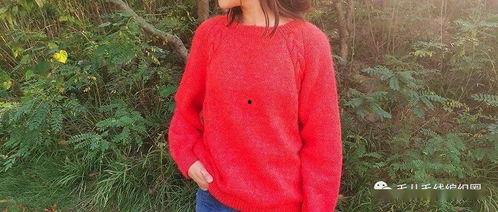 成人麻花辫子视频大全,魅力无限演绎